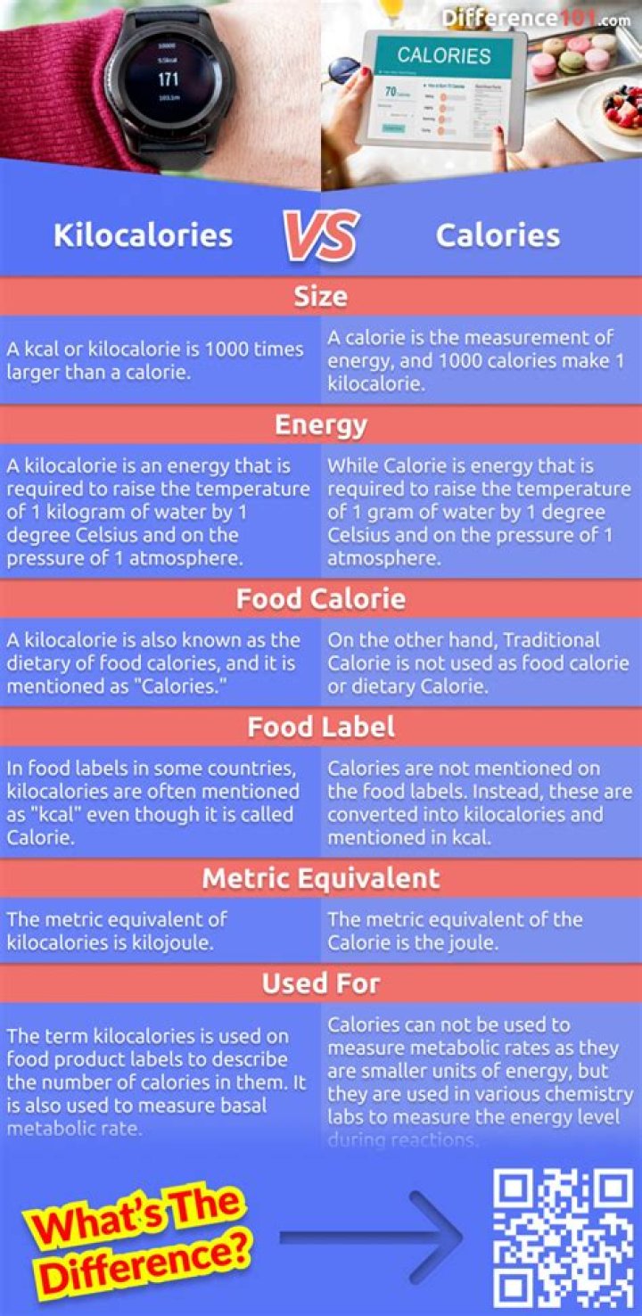 The Ultimate Guide to Kcal vs. Ca: Understanding the Difference