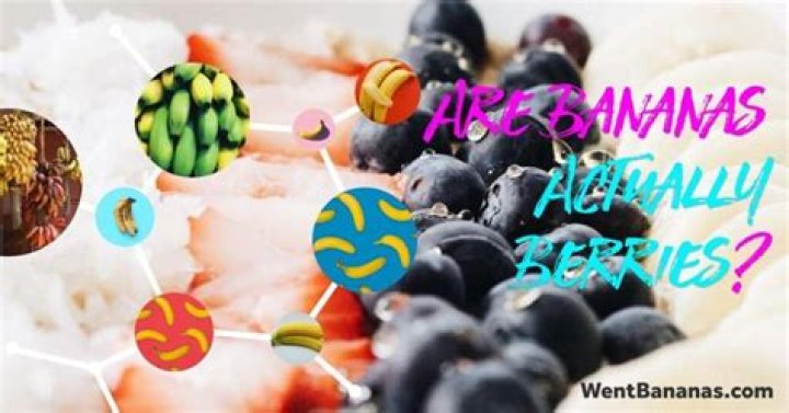 Why are Bananas (Still) Considered Berries?
