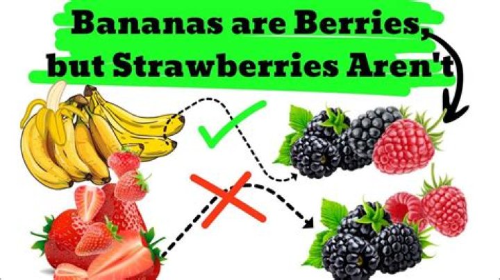 Why Are Bananas Technically Berries? - An In-Depth Explanation
